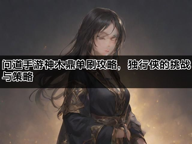 问道手游神木鼎单刷攻略，独行侠的挑战与策略