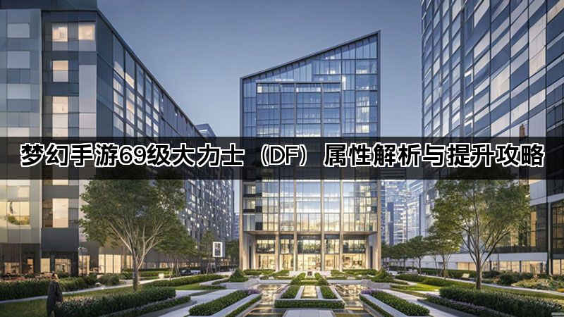 梦幻手游69级大力士（DF）属性解析与提升攻略