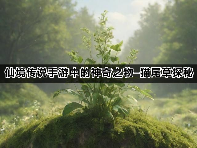 仙境传说手游中的神奇之物—猫尾草探秘