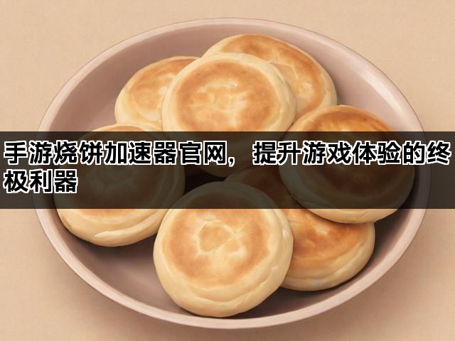 手游烧饼加速器官网，提升游戏体验的终极利器