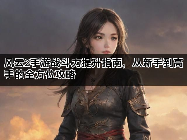 风云2手游战斗力提升指南，从新手到高手的全方位攻略