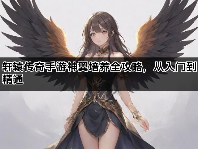 轩辕传奇手游神翼培养全攻略，从入门到精通
