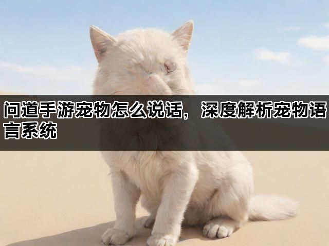 问道手游宠物怎么说话，深度解析宠物语言系统