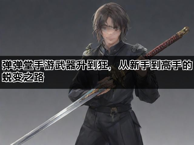 弹弹堂手游武器升到狂,从新手到高手的蜕变之路 弹弹堂手游武器升到狂,从新手到高手的蜕变之路
