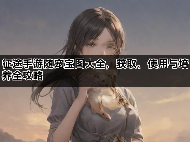 征途手游随宠宝图大全,获取、使用与培养全攻略 征途手游随宠宝图大全,获取、使用与培养全攻略