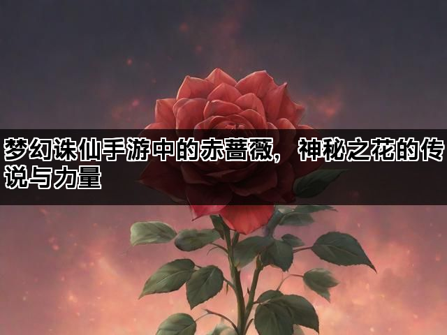 梦幻诛仙手游中的赤蔷薇，神秘之花的传说与力量