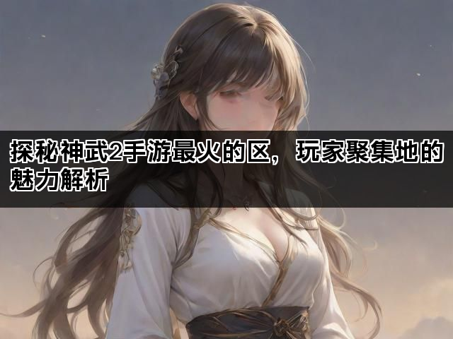 探秘神武2手游最火的区，玩家聚集地的魅力解析