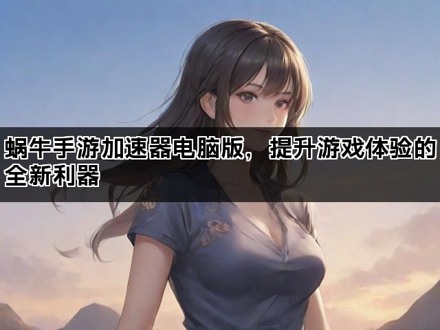 蜗牛手游加速器电脑版，提升游戏体验的全新利器