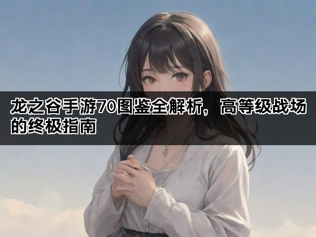 龙之谷手游70图鉴全解析,高等级战场的终极指南 龙之谷手游70图鉴全解析,高等级战场的终极指南