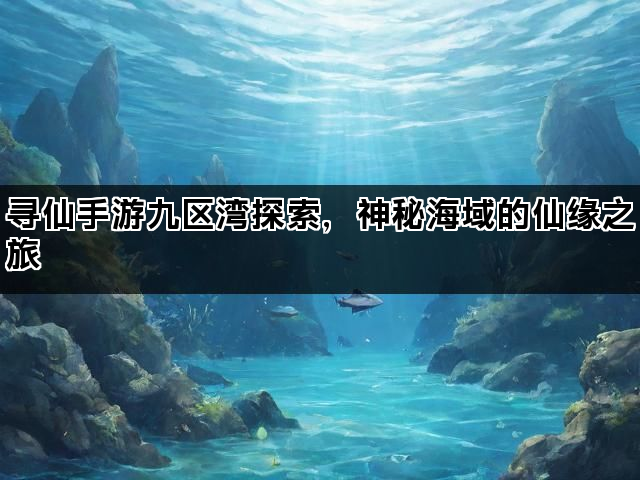 寻仙手游九区湾探索，神秘海域的仙缘之旅