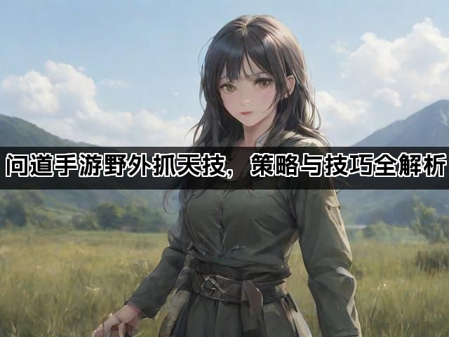 问道手游野外抓天技，策略与技巧全解析