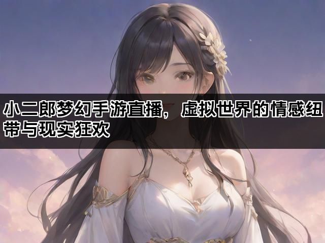 小二郎梦幻手游直播，虚拟世界的情感纽带与现实狂欢