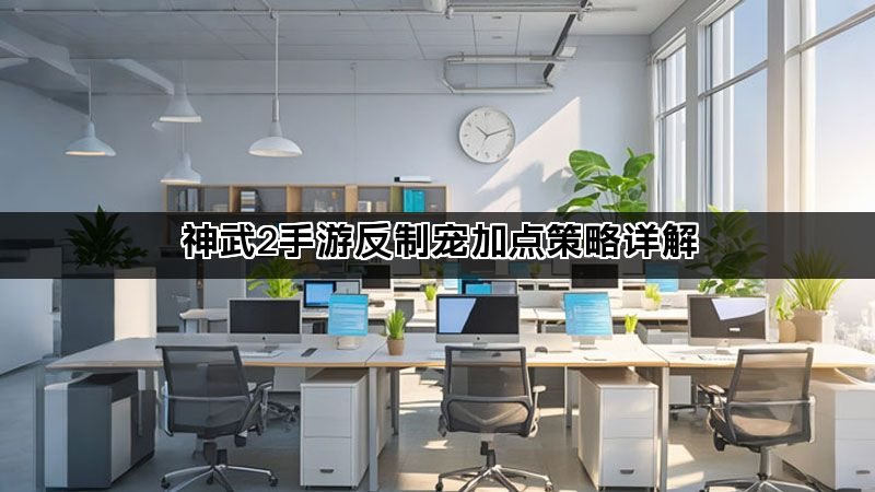 神武2手游反制宠加点策略详解