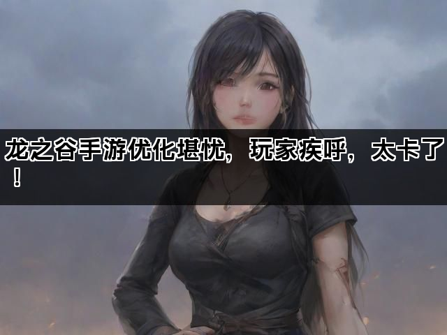 龙之谷手游优化堪忧，玩家疾呼，太卡了！