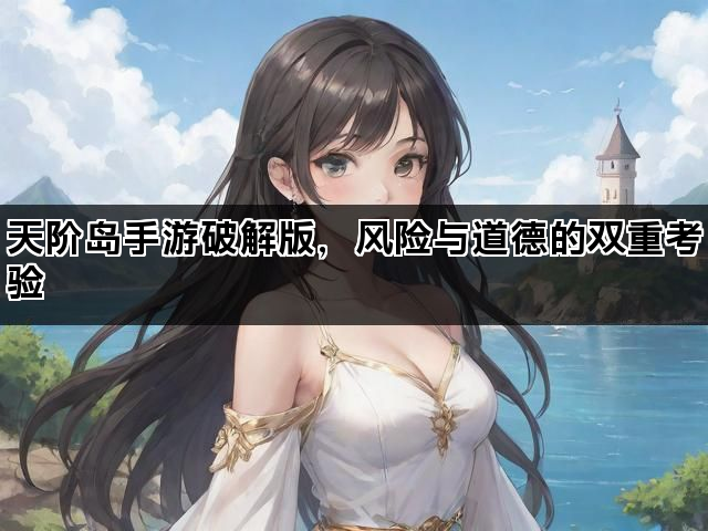 天阶岛手游破解版，风险与道德的双重考验