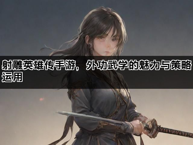 射雕英雄传手游，外功武学的魅力与策略运用