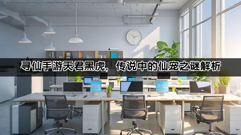 寻仙手游天君黑虎，传说中的仙宠之谜解析