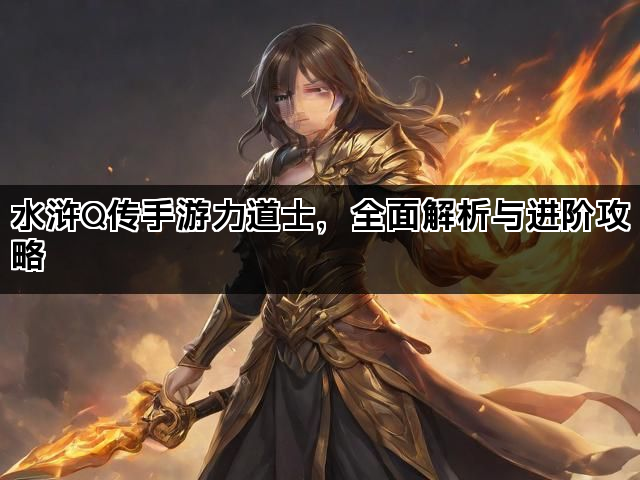 水浒Q传手游力道士，全面解析与进阶攻略