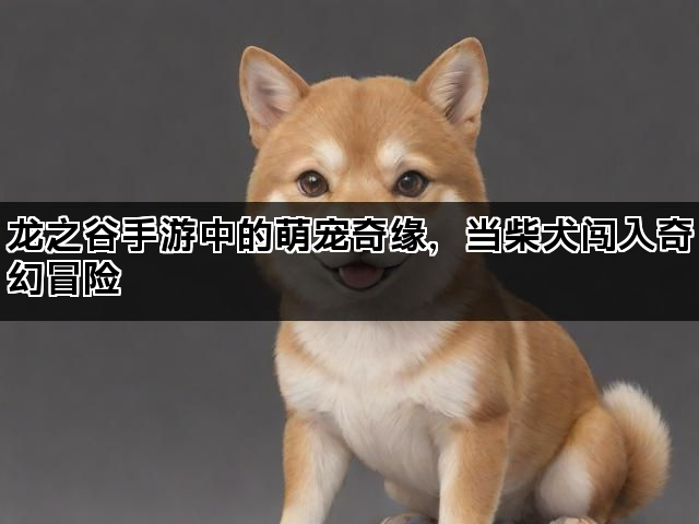龙之谷手游中的萌宠奇缘，当柴犬闯入奇幻冒险