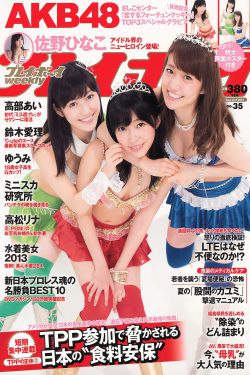 心动女友手游安卓破解版，风险与道德的双重考量