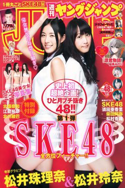 热血高校2手游破解版，风险与道德的双重考量